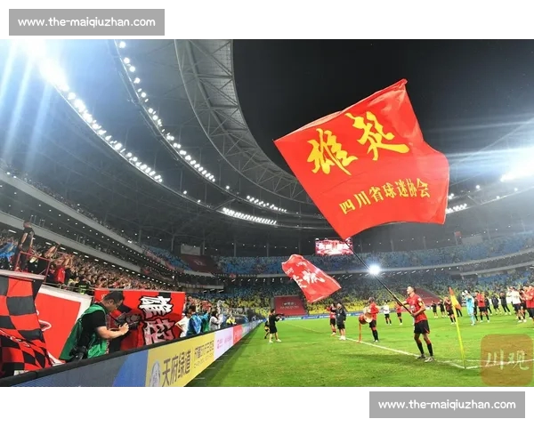 成都蓉城严斥球迷恶意涂鸦 承诺依规重罚维护赛事文明